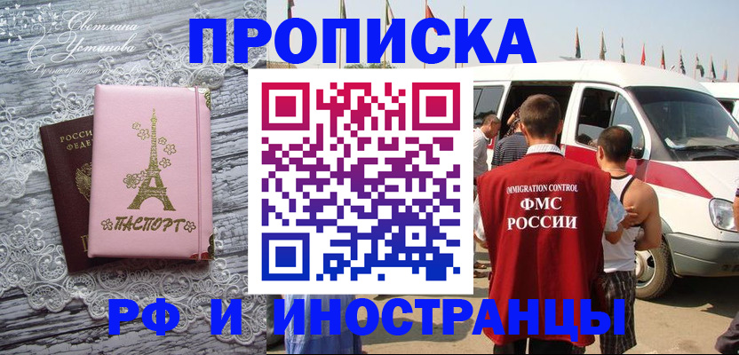 прописка поиск в Щёлково