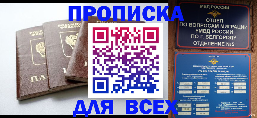 прописка в Щёлково